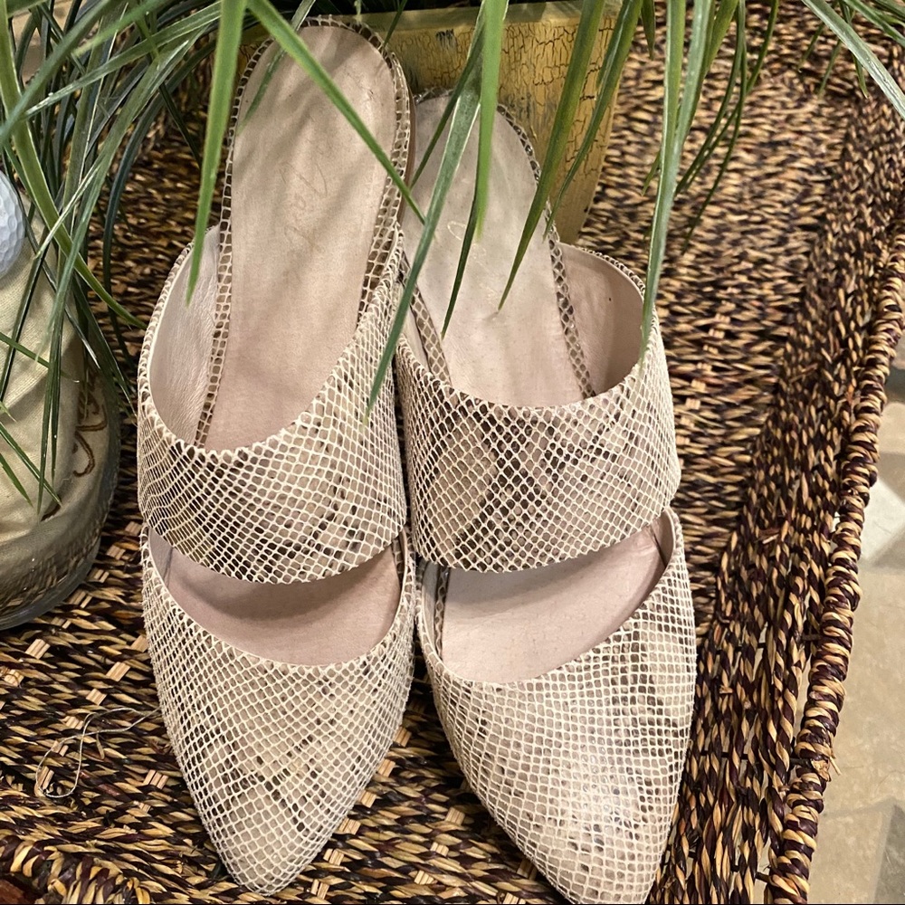 Matisse mules
